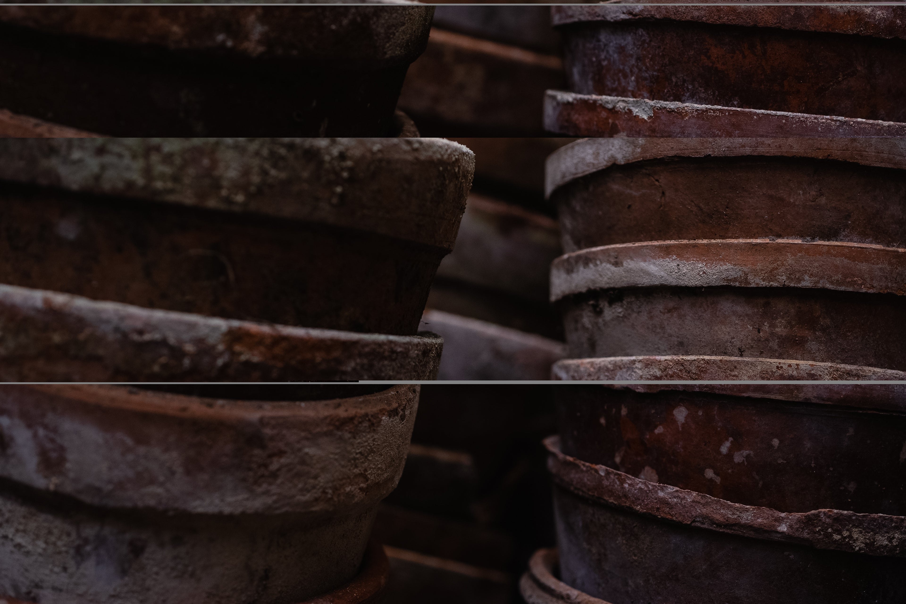collection-banner-image